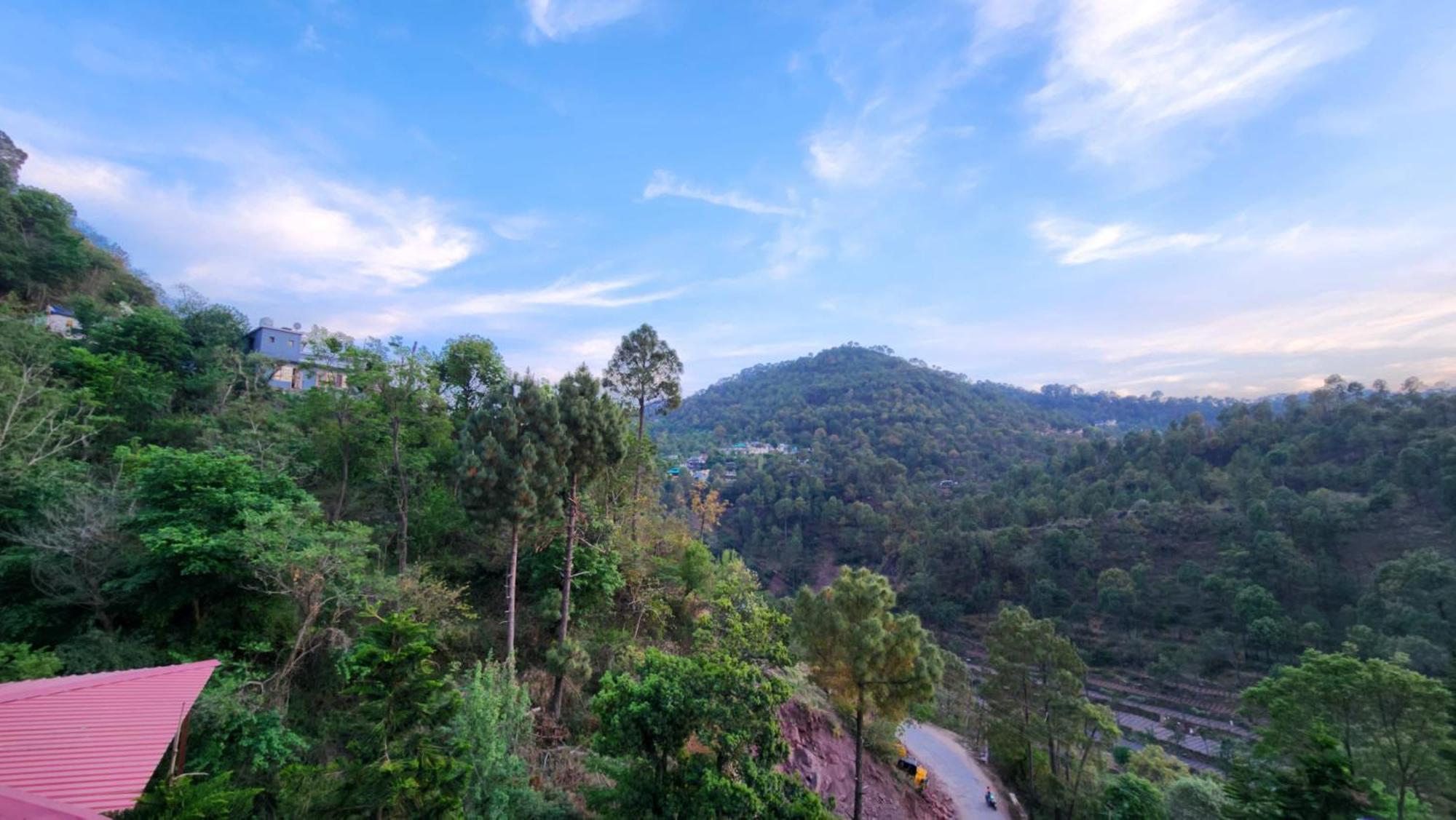 Hotel Royal Ark - Kasauli Kültér fotó